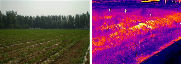 熱成像雙光譜云臺攝像環(huán)境保護(hù)應(yīng)用 圖片關(guān)鍵詞